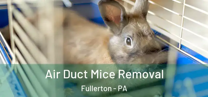 Air Duct Mice Removal Fullerton - PA