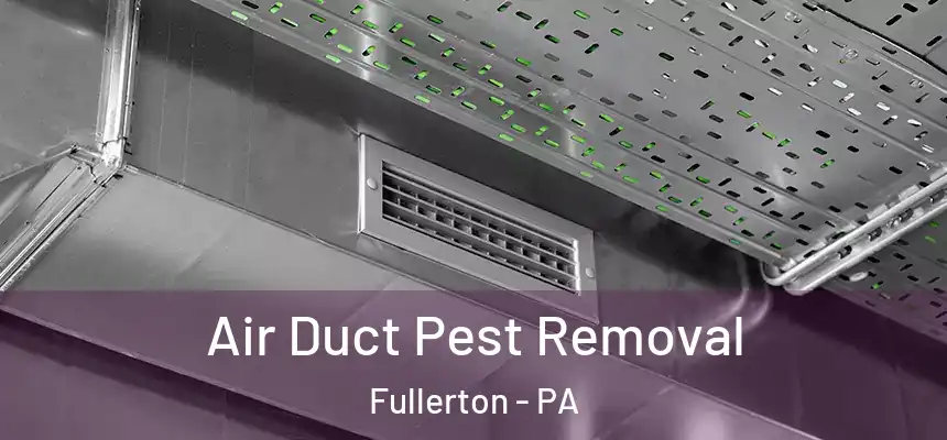  Air Duct Pest Removal Fullerton - PA