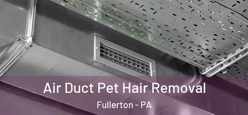  Air Duct Pet Hair Removal Fullerton - PA