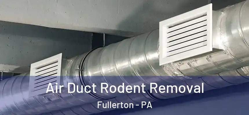  Air Duct Rodent Removal Fullerton - PA