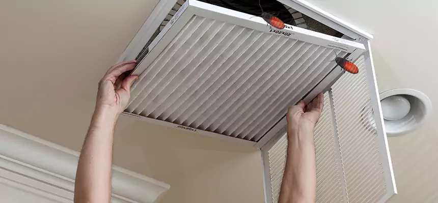 Preventive Cockroach-Proofing for Ducts in Fullerton