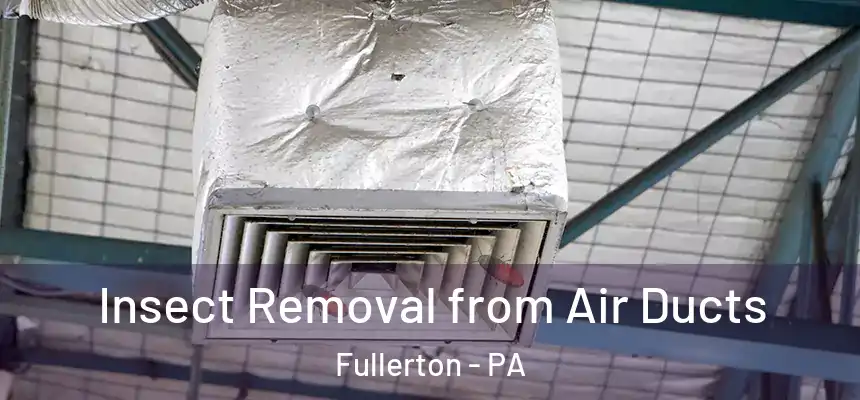  Insect Removal from Air Ducts Fullerton - PA