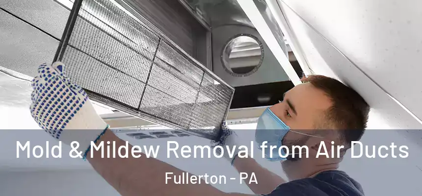 Mold & Mildew Removal from Air Ducts Fullerton - PA