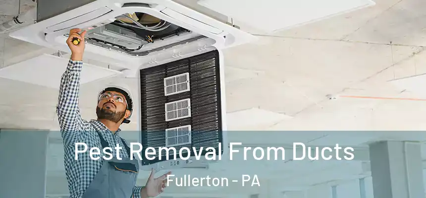  Pest Removal From Ducts Fullerton - PA