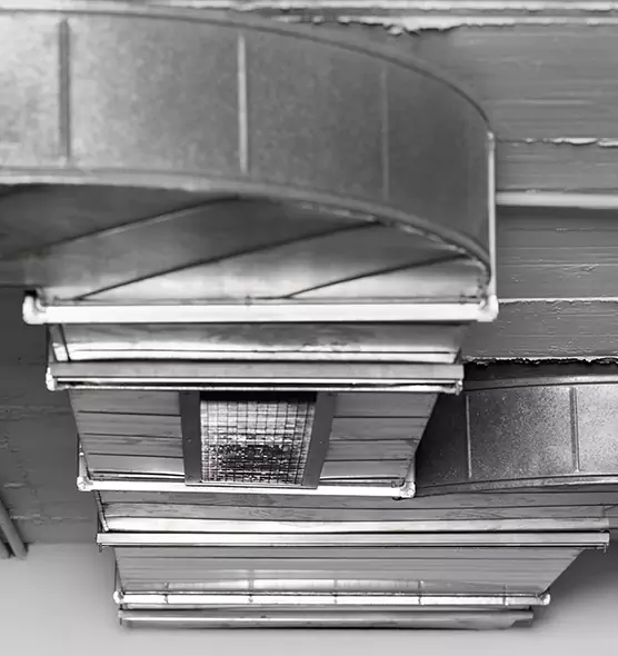 Professional Air Duct Pest Removal in Fullerton, PA