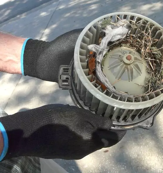 About Air Duct Rat Removal in Fullerton, PA