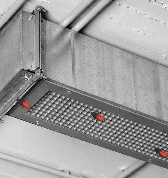 Affordable Insect Removal from Air Ducts in Fullerton, PA