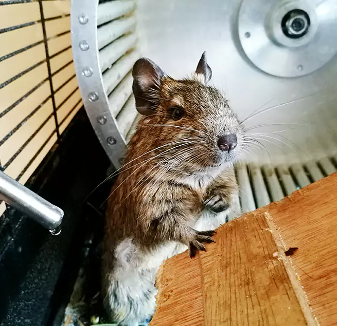 Why Homeowners & Businesses Trust Us Fullerton, PA